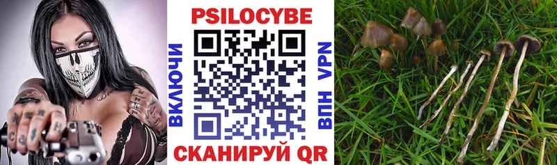где можно купить   Емва  Псилоцибиновые грибы прущие грибы 
